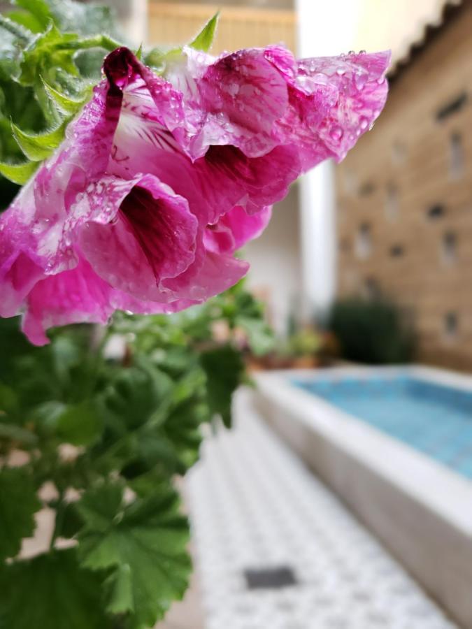 Casa Carmen Hotel San Cristobal de las Casas Ngoại thất bức ảnh
